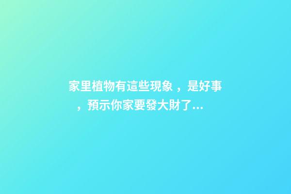 家里植物有這些現象，是好事，預示你家要發大財了！
